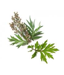 Artemísia Annua , Biológica PT Bio-05, molho