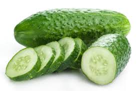Pepino Cornichon Biológico PT Bio-05